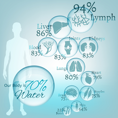 人體器官水分含量